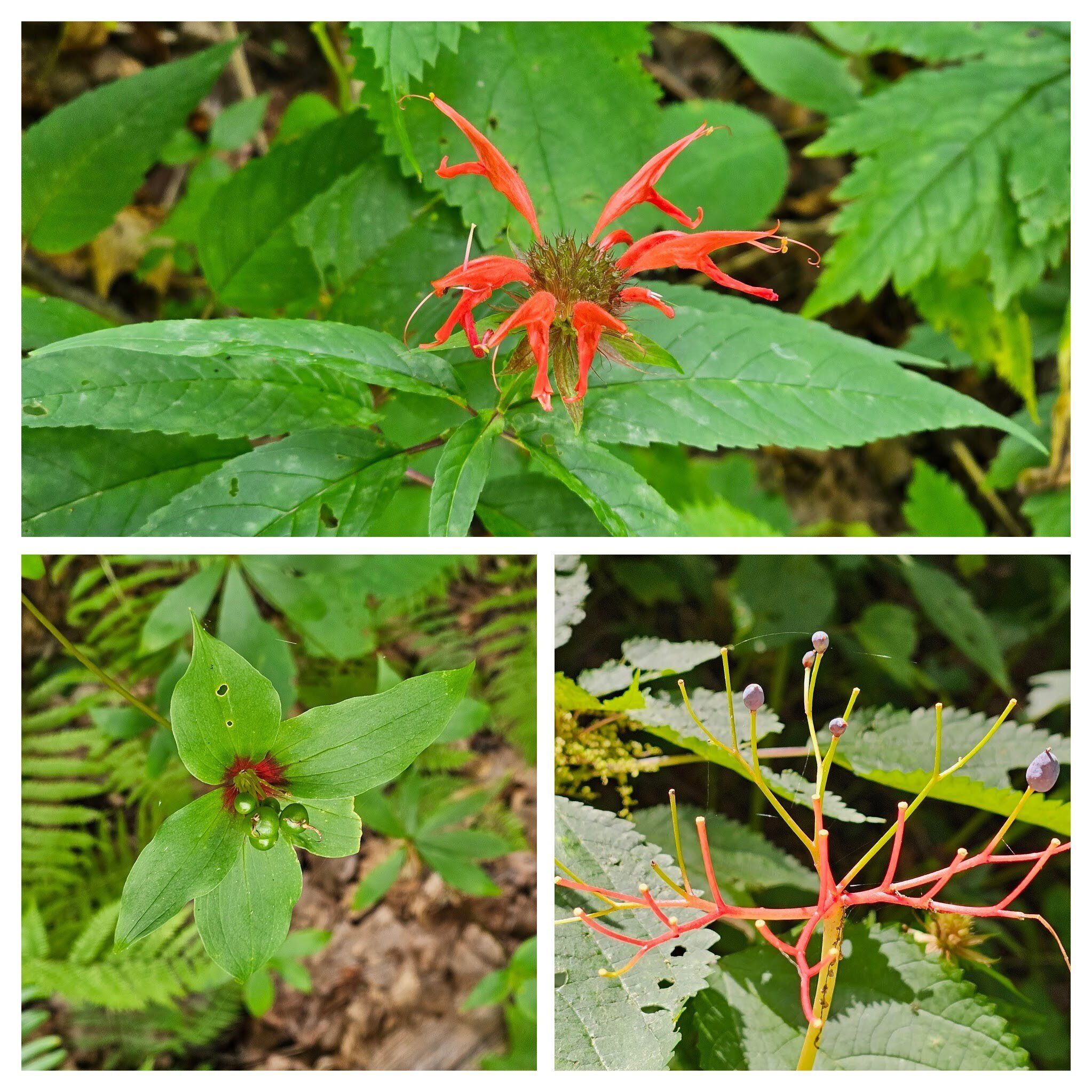 Looks like "red" is the color of the day.