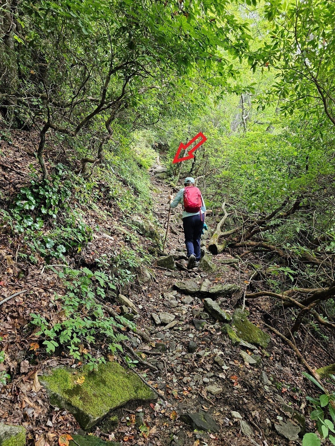 But Jenny, be careful climbing over those large rocks in the trail . . . ouch! That hurt.!
