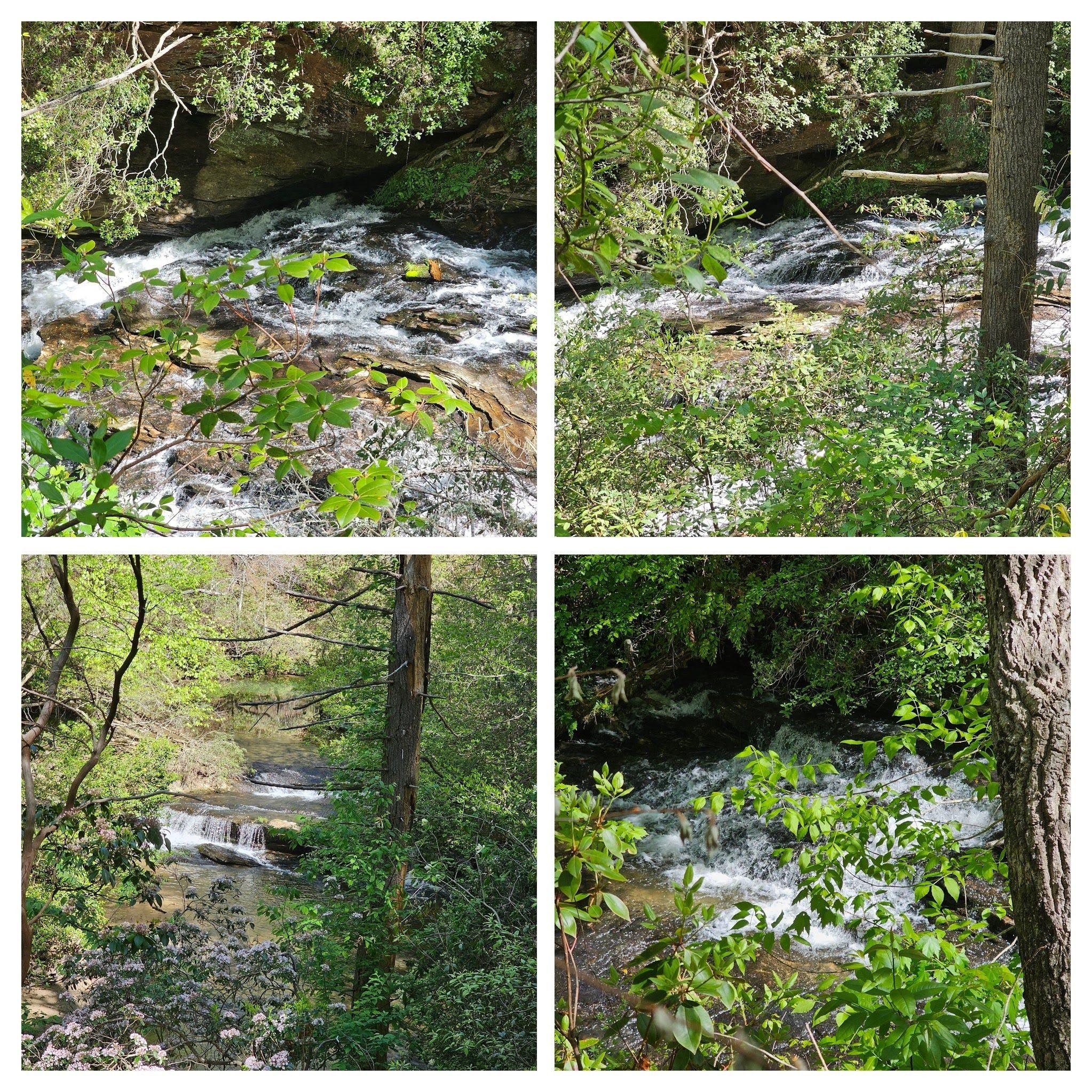 Turning north, Dick's Creek is more exciting with numerous rapids and cascades along our hike.
