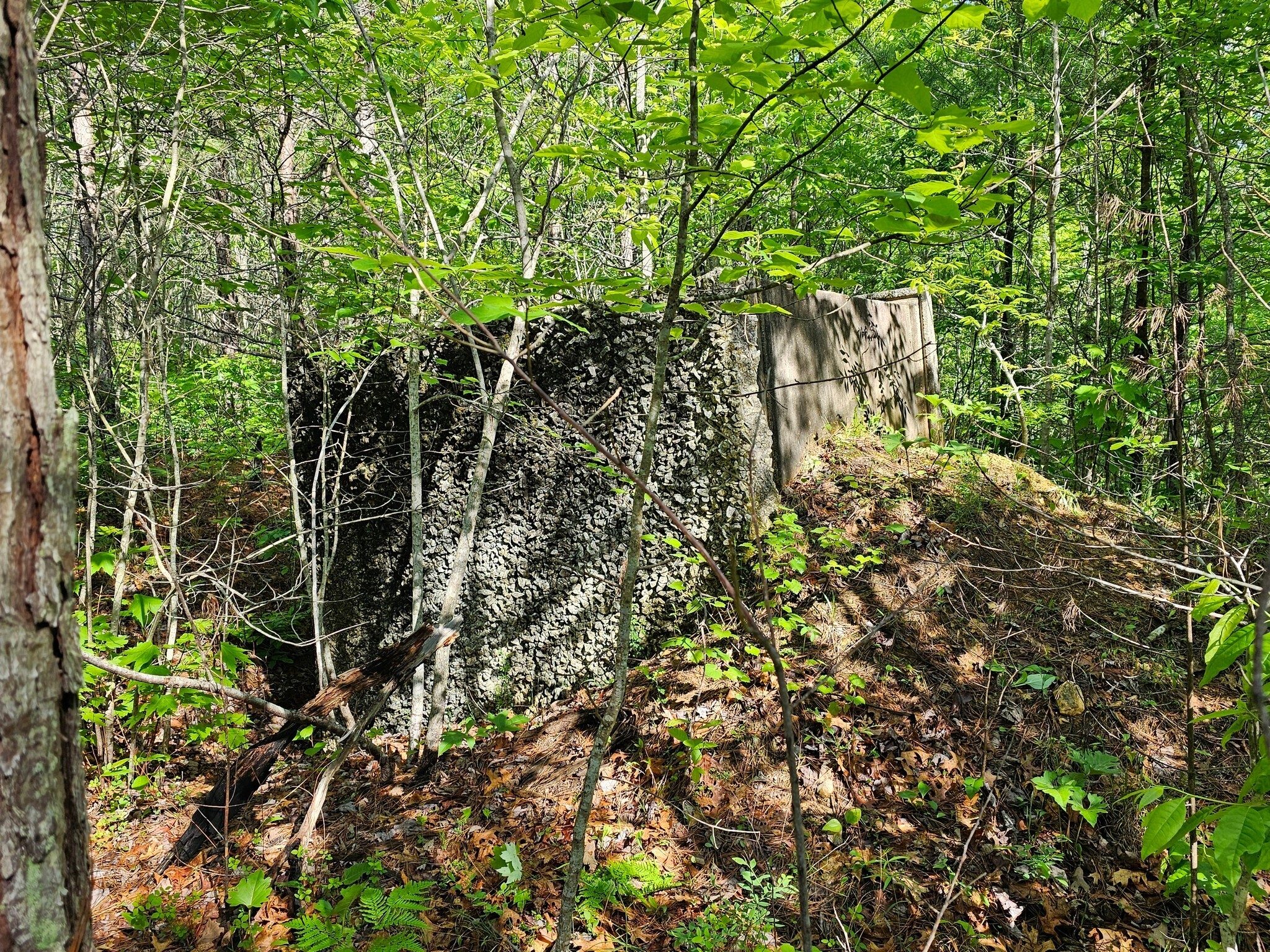 Just wondering. Why was this old concrete bunker-looking structure pushed over along the trail?