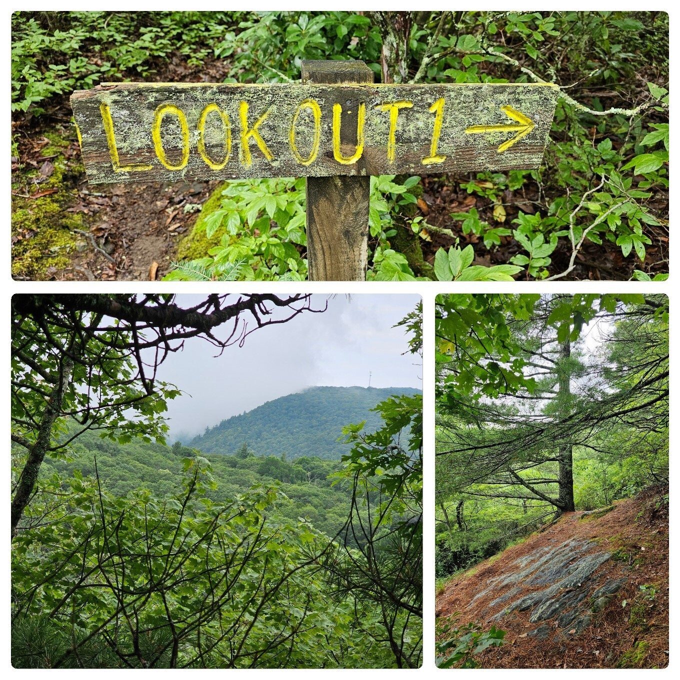 Lookout#1, a clearer, but also limited view.