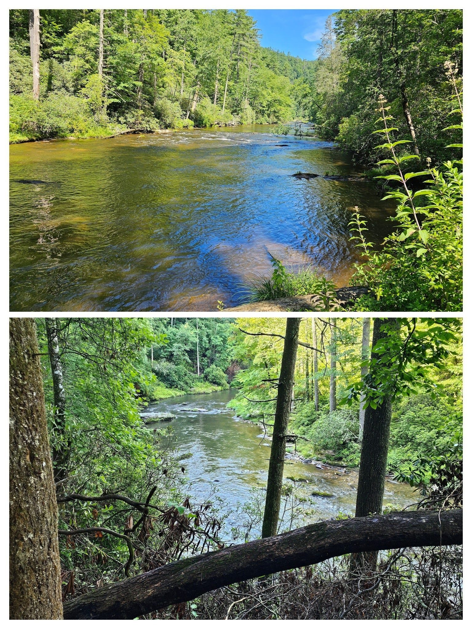 Lots of nice views along the Chattooga River.
