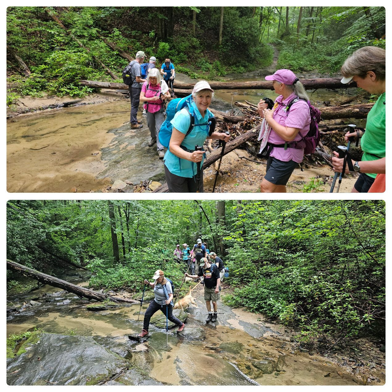 Got to cross Dead Man Branch early on only to cross back just a short distance up the trail.