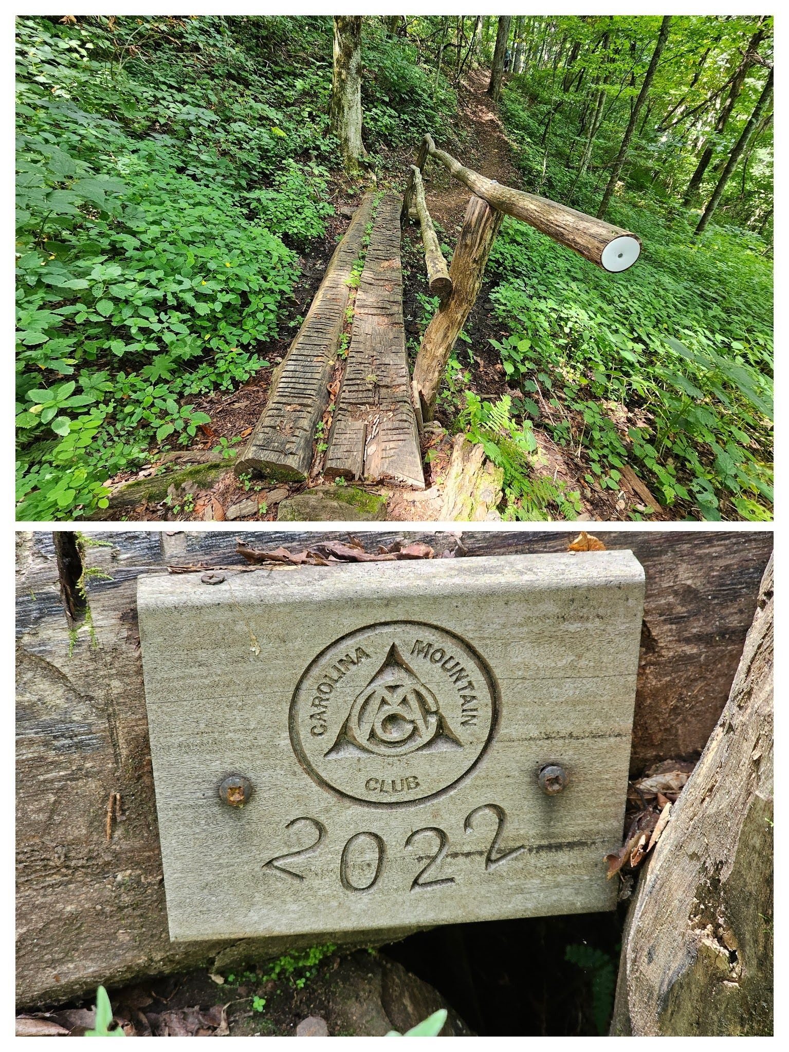 Nice trail work.