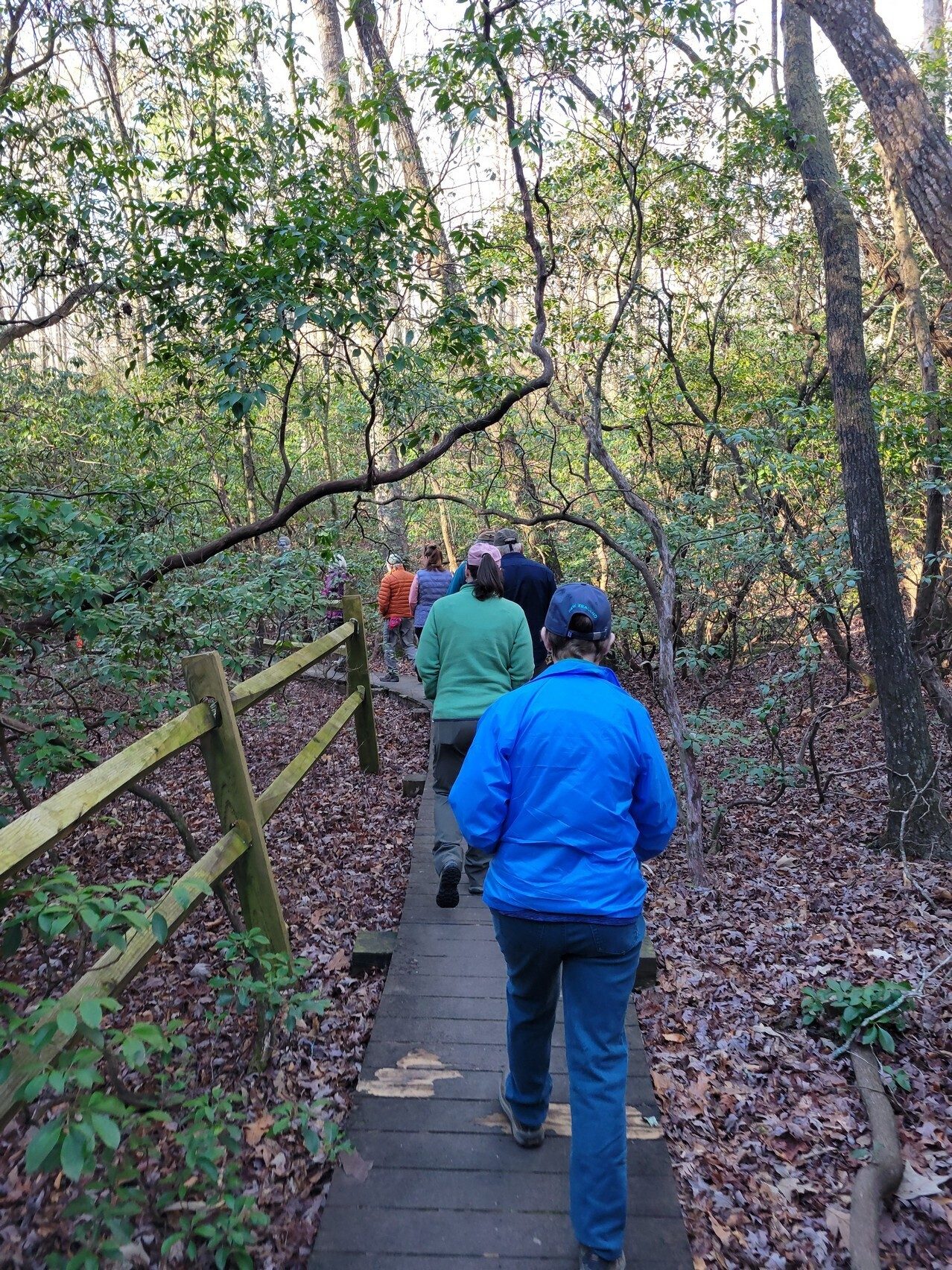 Trying to keep folks on the trail to protect the Oconee Bells.