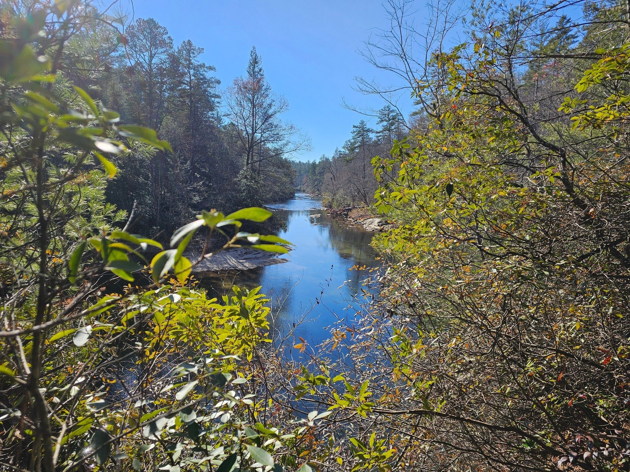 Another nice view of the Chattooga River from the Willis Knob Horse Trail.