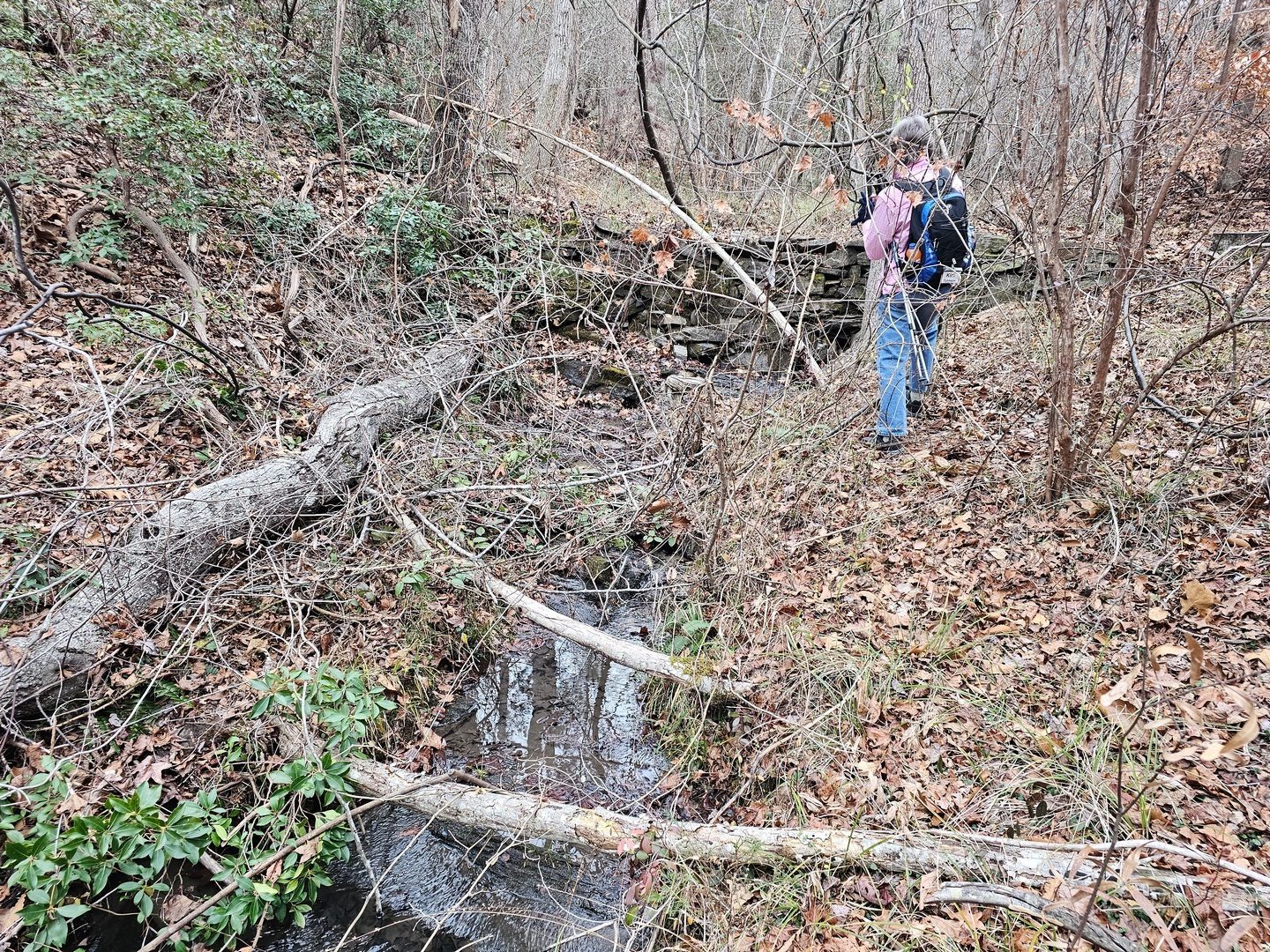 Kim checking out this old rock dam.  It take a bit of a scramble to get to it.  Imagine the dense overgrowth in the summer.
