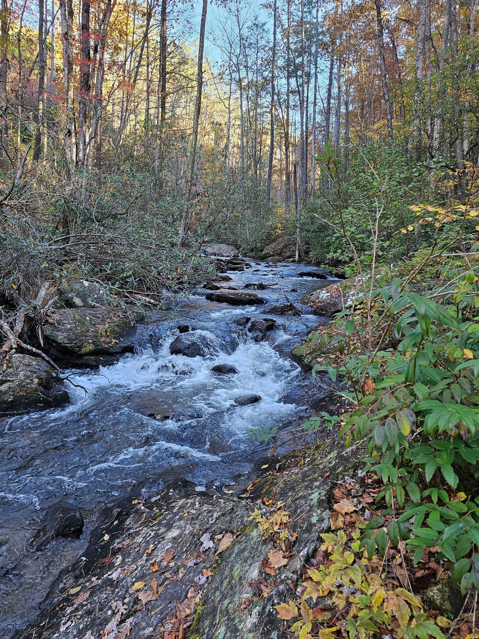 Lots of large boulders in and around this river.