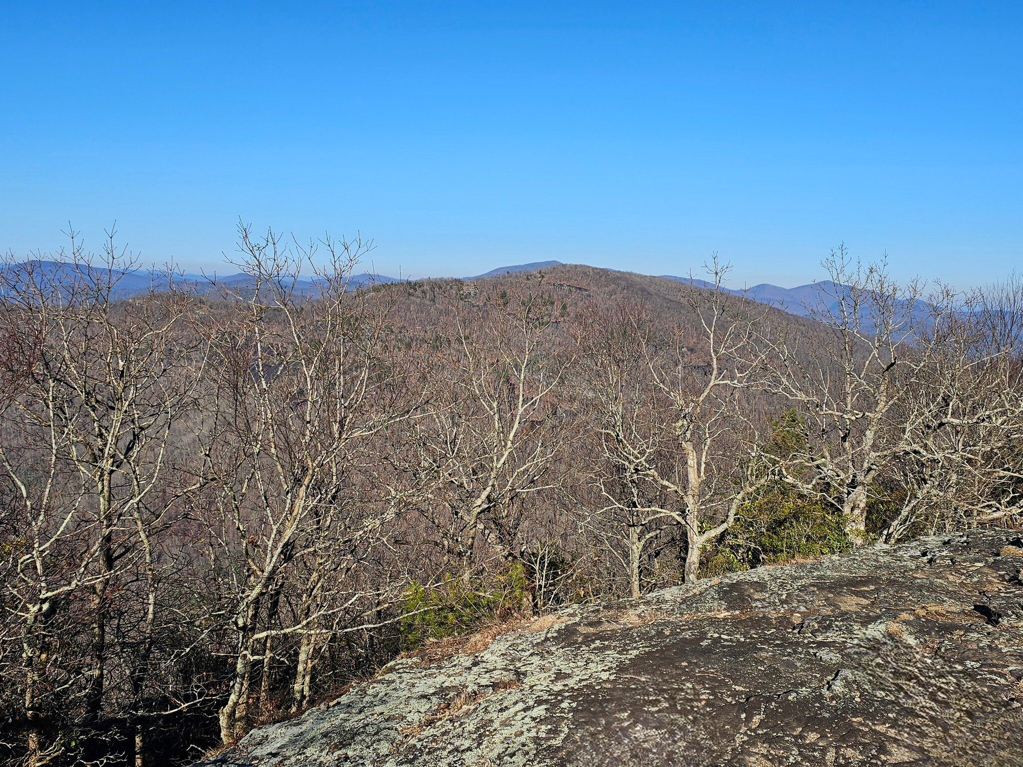 This treeline again looking to the west and Cowrock.