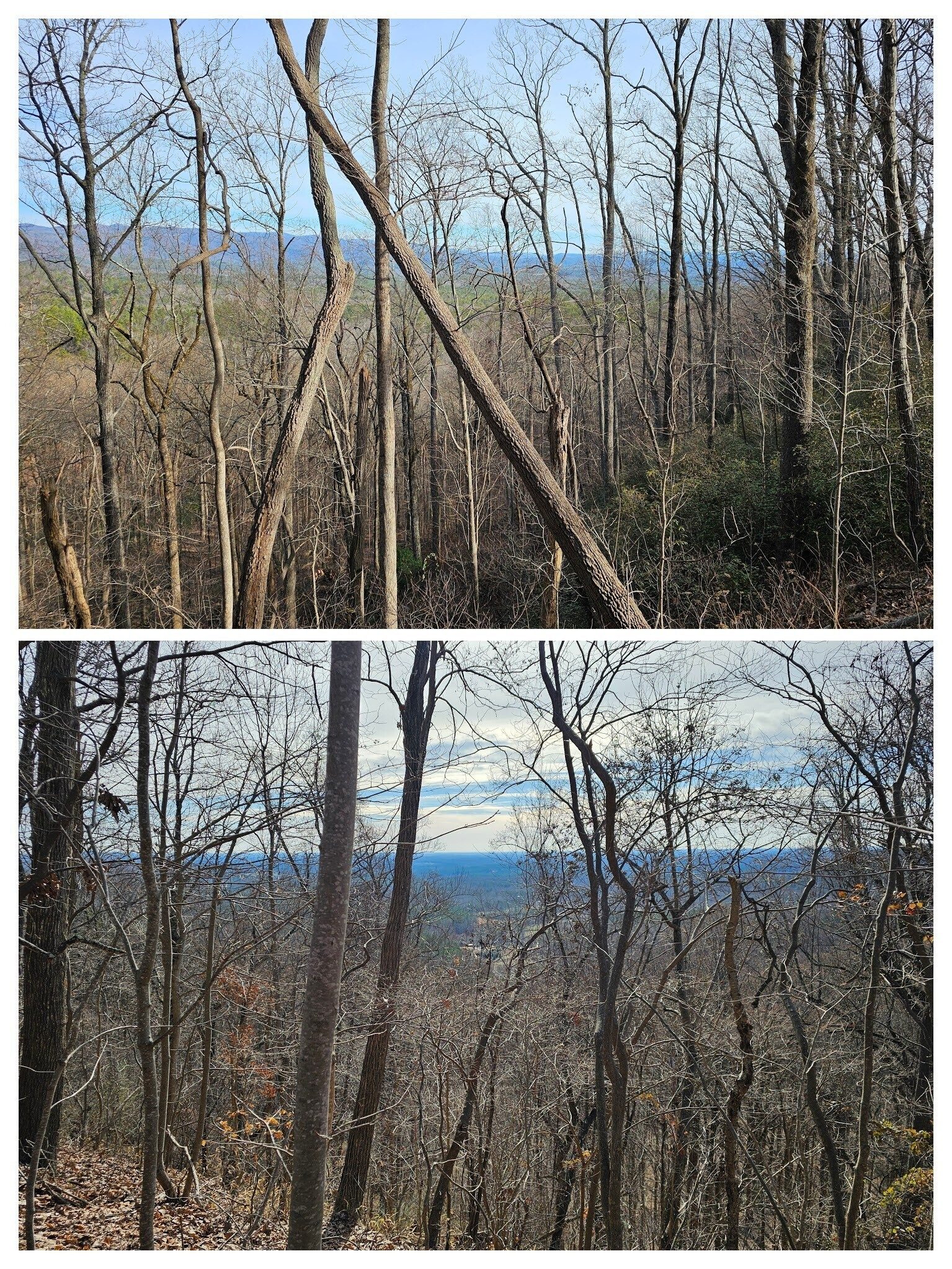 Views to the north and south on the ridgeline up to Tamassee Knob.
