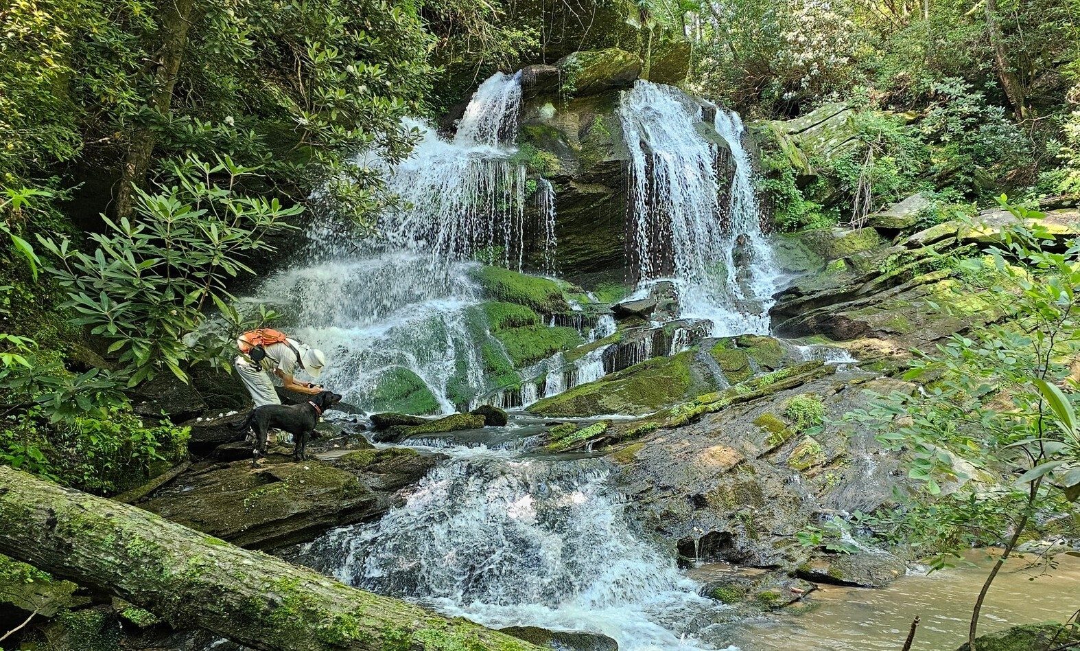 Oh yes, much easier.  Matt and Toby checking out Filmy Fern Falls.