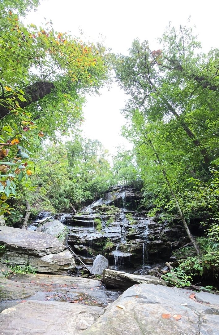 This vertical panoramic photo by Jane Voss makes it appear the trees are about to fall into the waterfall.