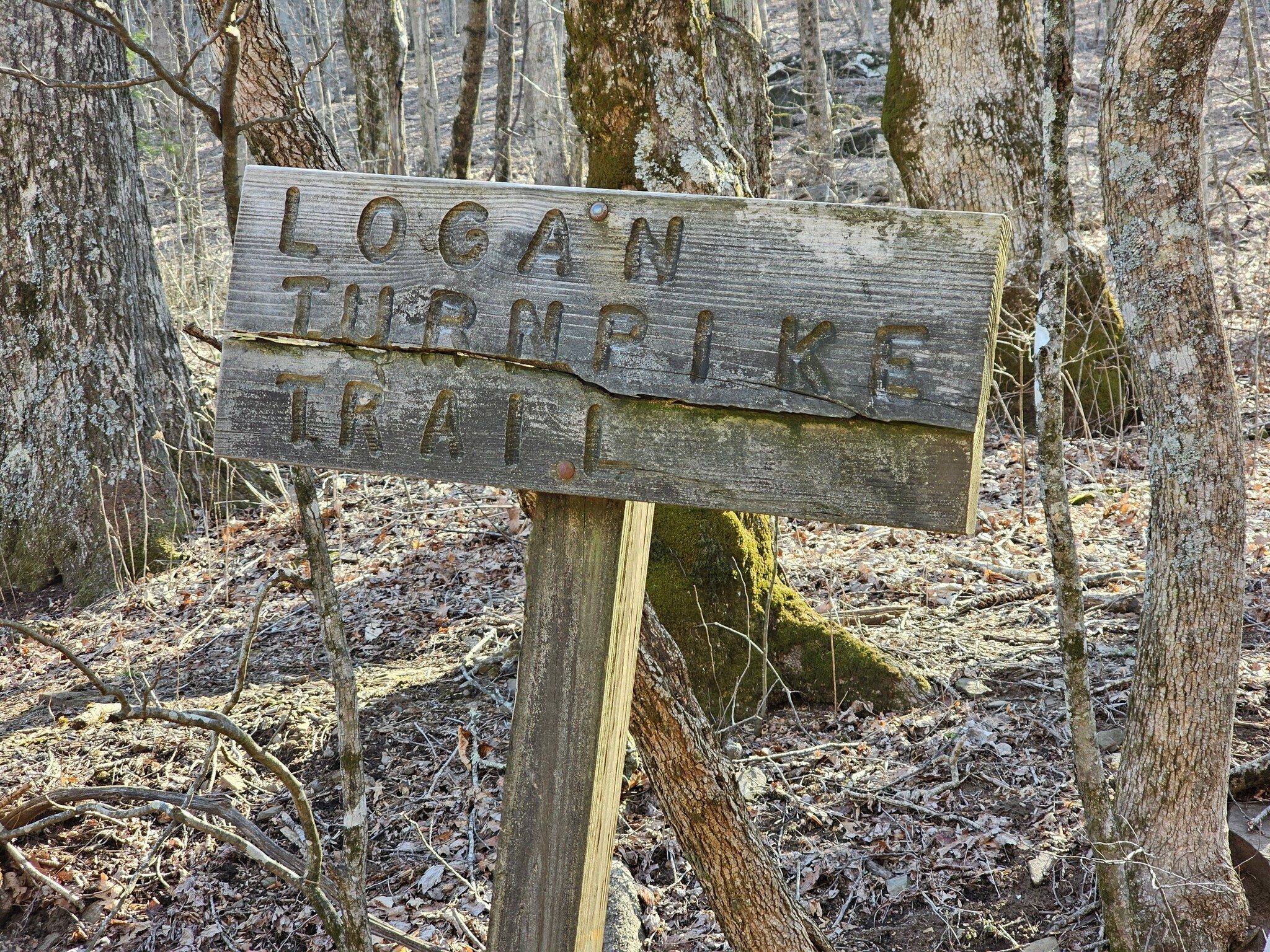 Trailhead for the Logan Turnpike Trail at Tesnatee Gap