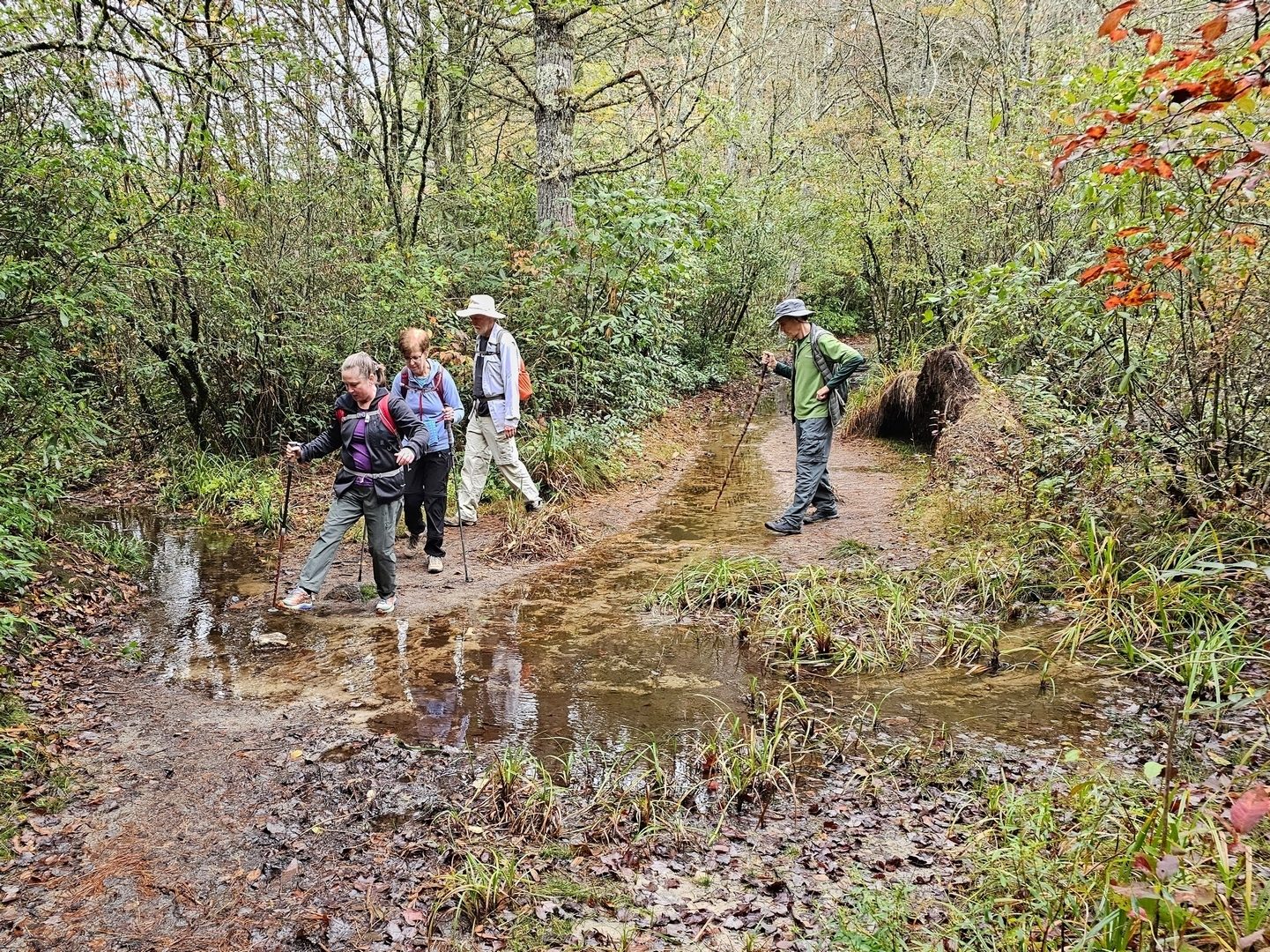 We encountered mostly wet trails today with several  drainage swales to cross over.