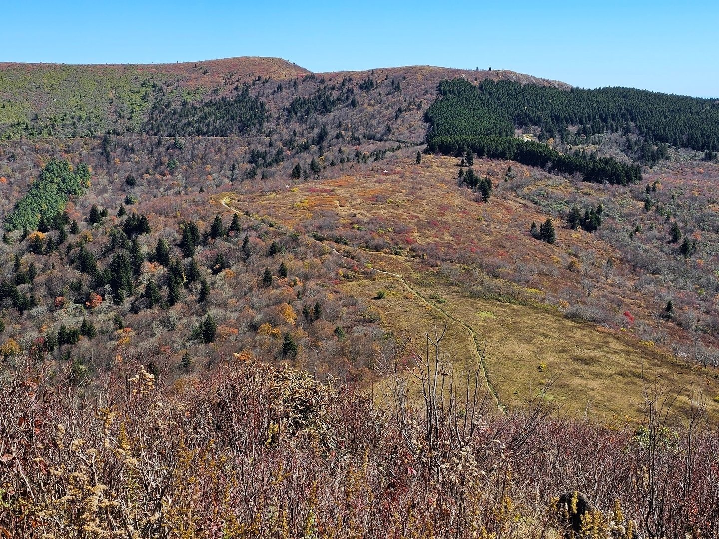 Next stop Black Balsam Knob, upper left rise, via the trail through the meadow.