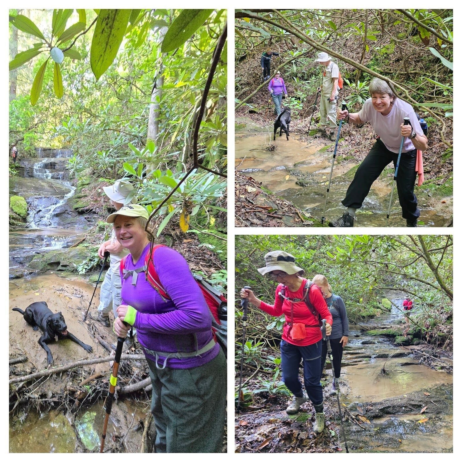 Lovely Ledge Falls took a bit of bushwacking to get to it, but it was a good start to the day. Left photo by Jane Voss.