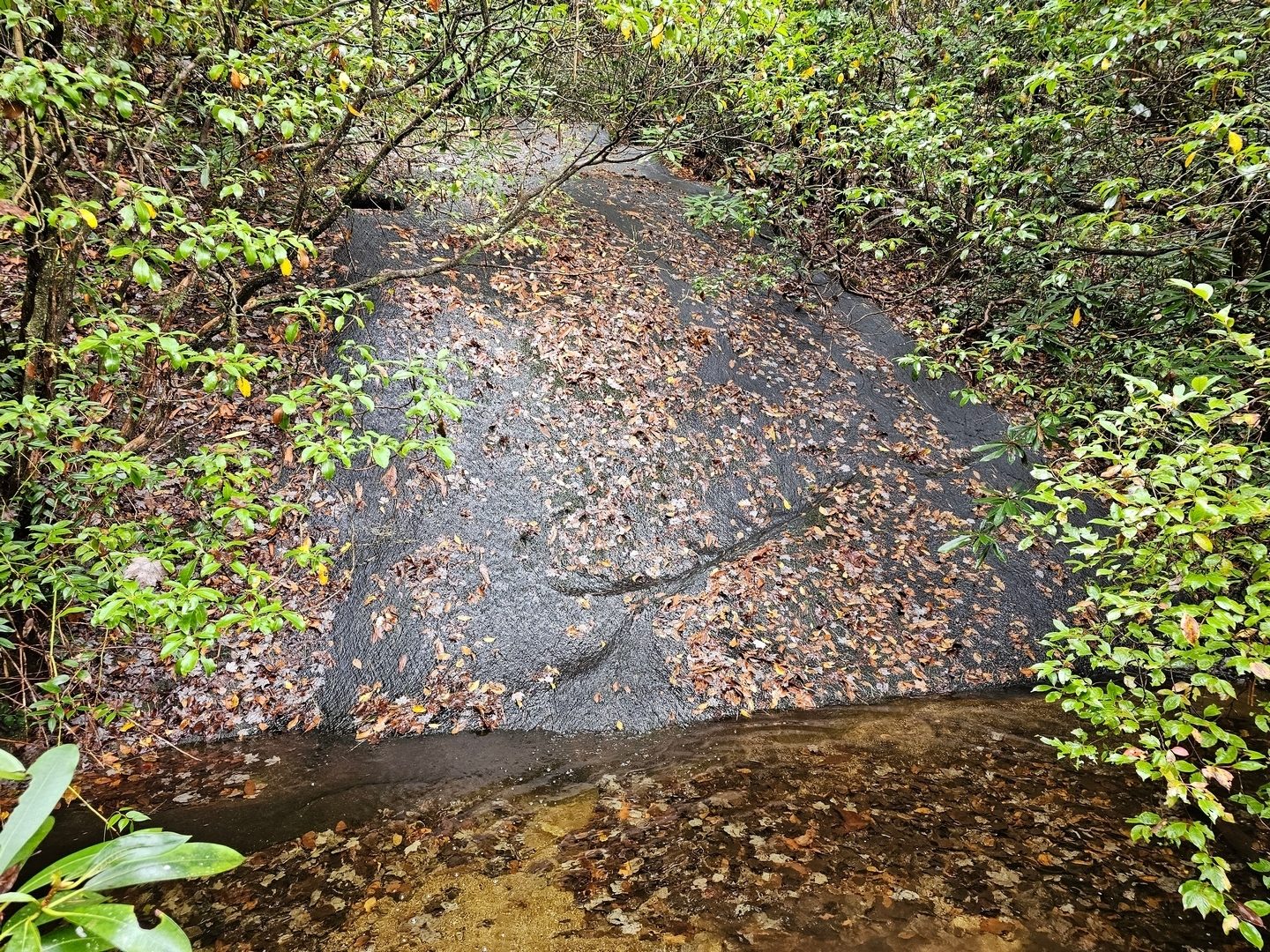 Coolidge Falls, our first waterfall, is 10-feet high with water flowing over its solid rock surface.
