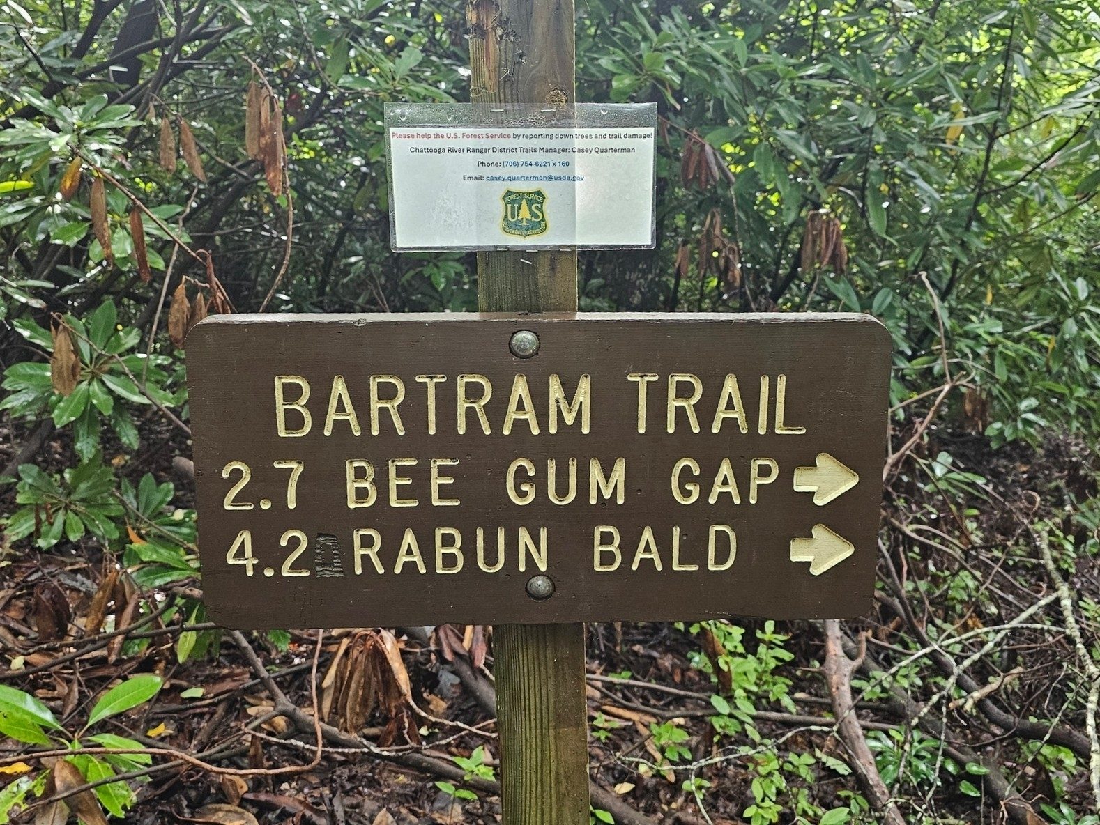4.2 miles to Rabun Bald  . . . not too bad.
