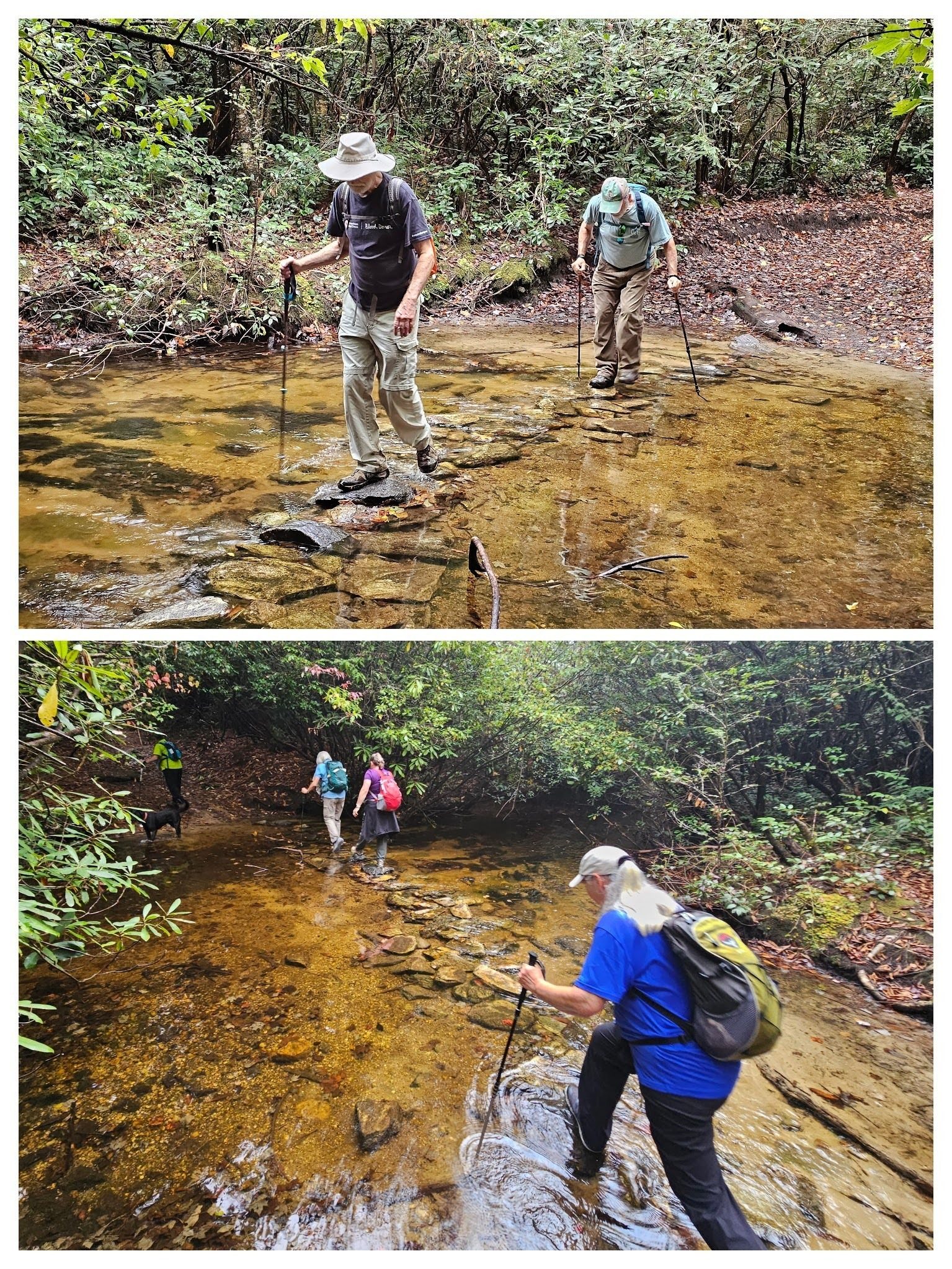 Toward the end of the hike, getting across Panthertown Creek without getting wet was a bit of a challenge.