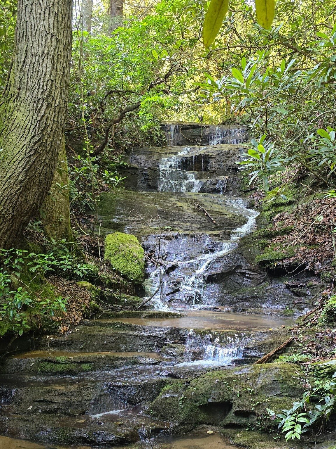 Our first stop was Lovely Ledge Falls.  Photo by Jane Voss.