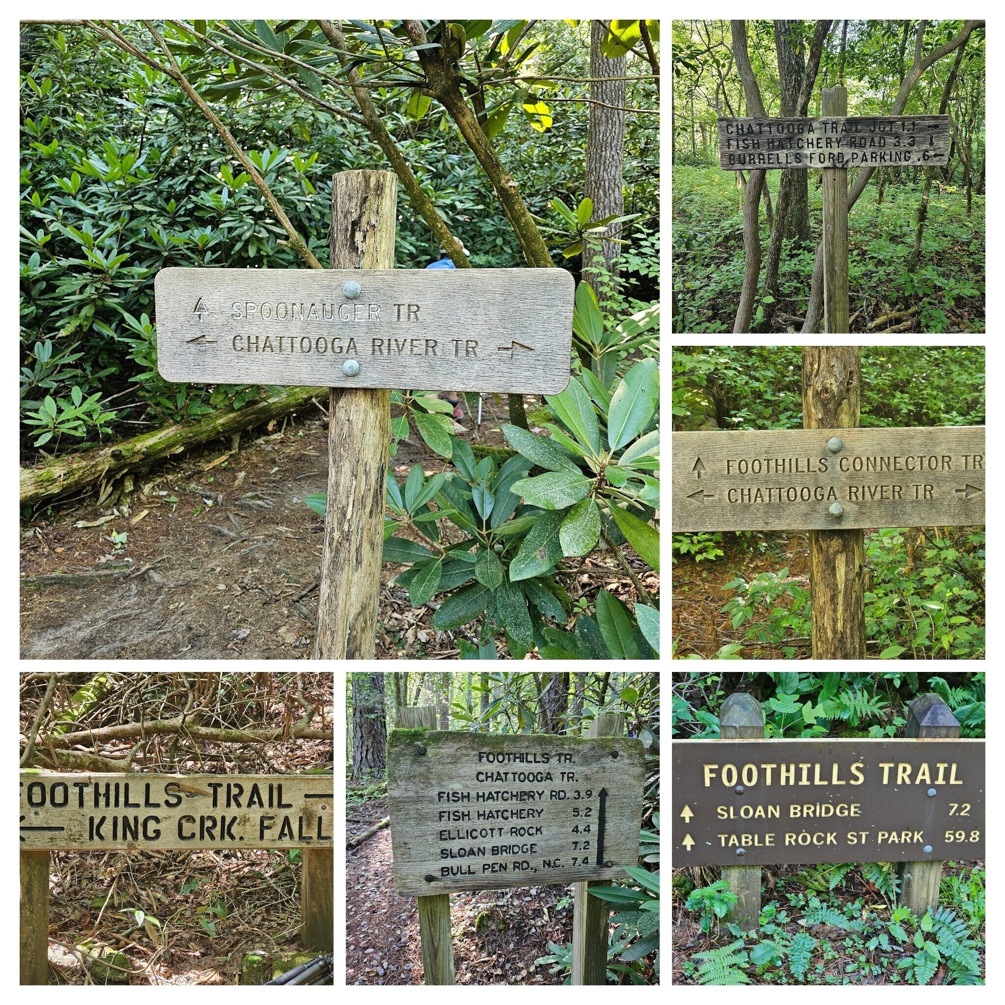 No shortage of trail signs today.