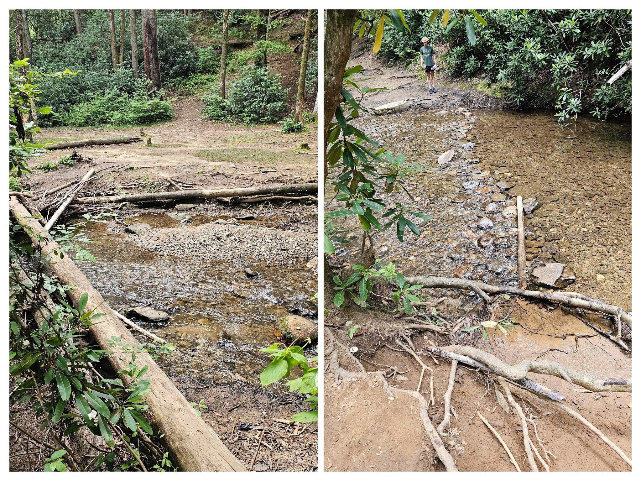 First two looks where the access trail meets the main trail seems to be a wet crossing, but just upstream a few yards is a stepping stone path across the creek.