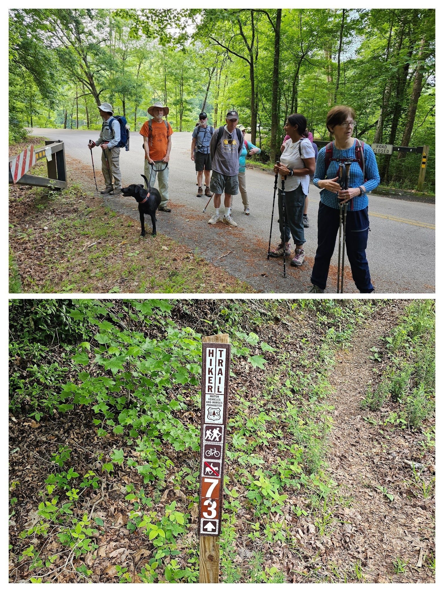 Getting started at the new trailhead that avoids some walking on Lake Russell Road.
