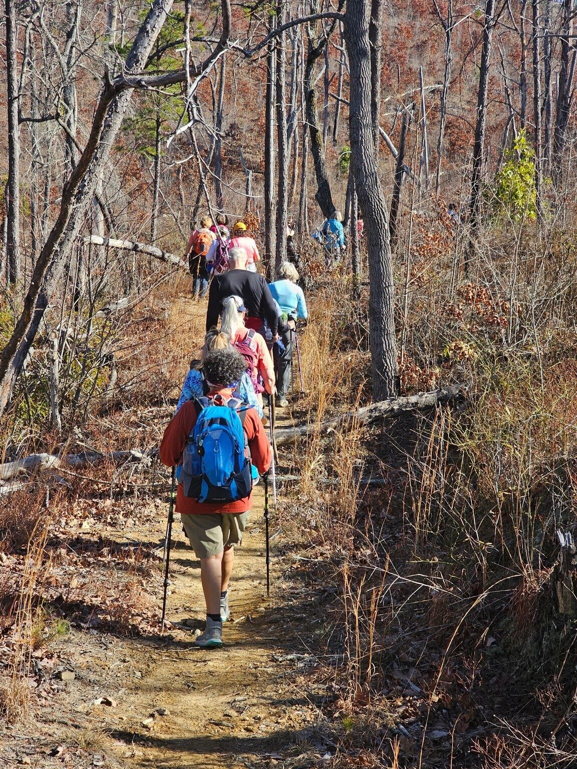 Headed back, but many commented on the slow recovery of vegetation from the controlled burn in April 2018.