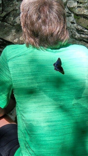 Don Pratt took this photo of a butterfly resting on Kim Johnson during our break.