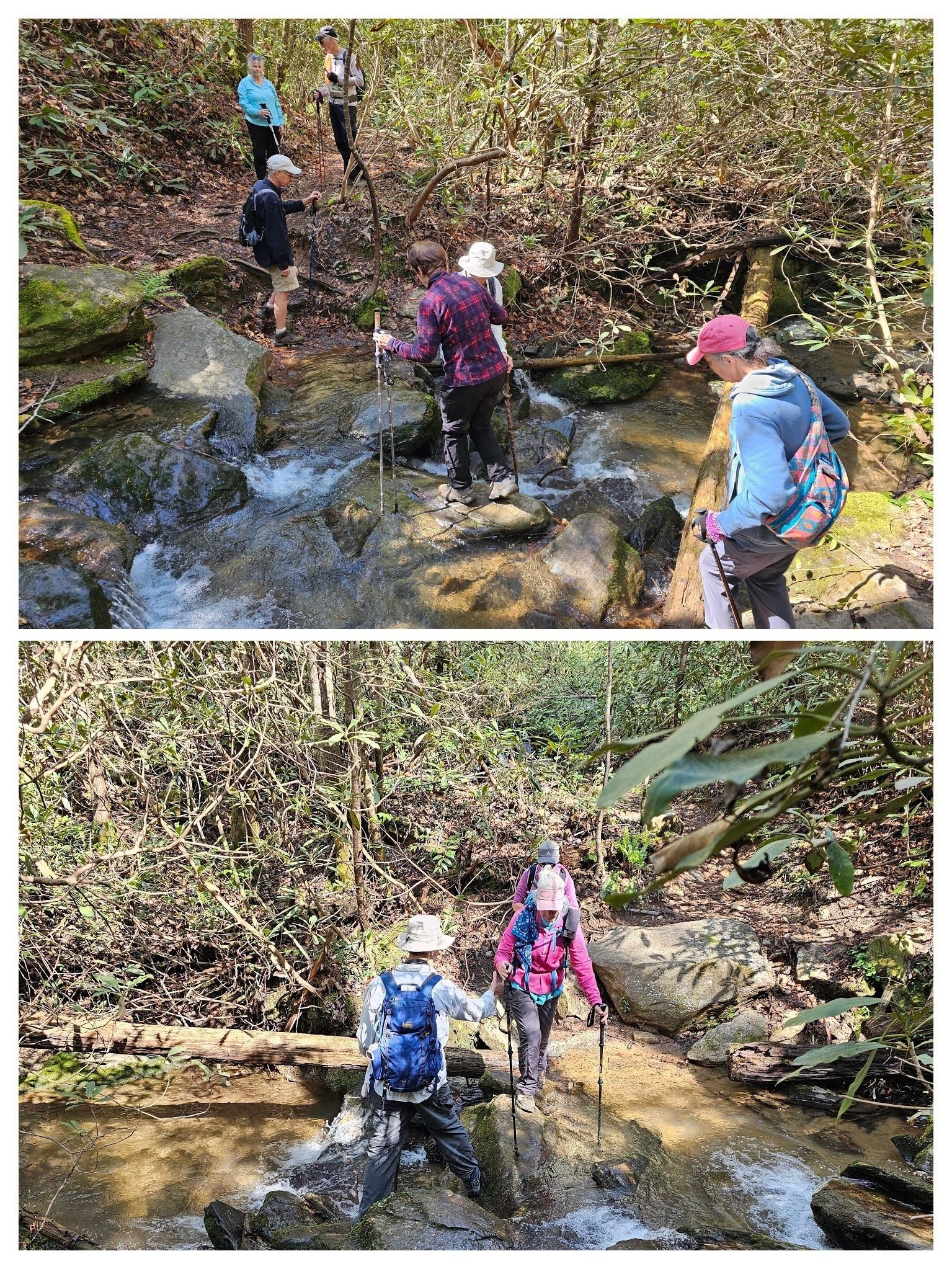 Gerald helping folks across a shallow stream crossing on the way to Opossum Creek Falls.