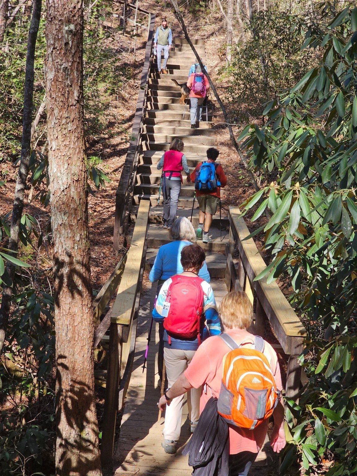 Headed back after visiting Overlook #1.