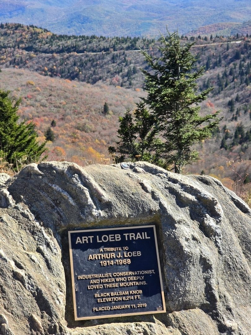 A nice view toward the southeast from Black Balsam Knob.  Photo by Jane Voss.