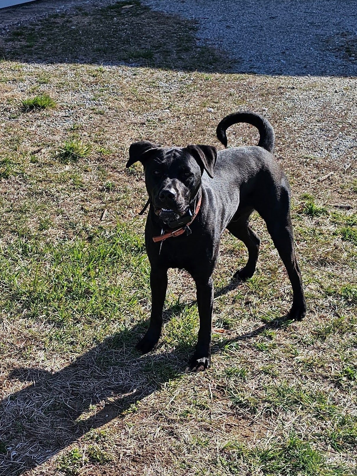 Toby is anxious to keep hiking.