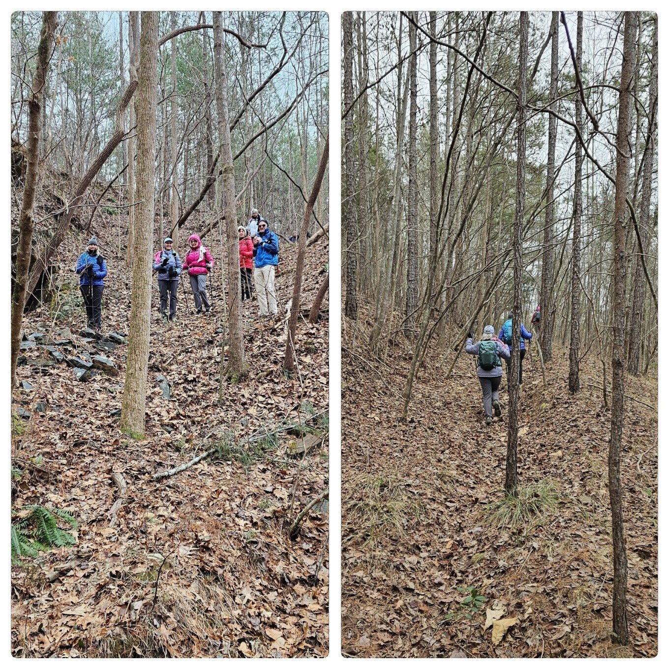 Checking out Quarry Falls.  It's only a short climb out.