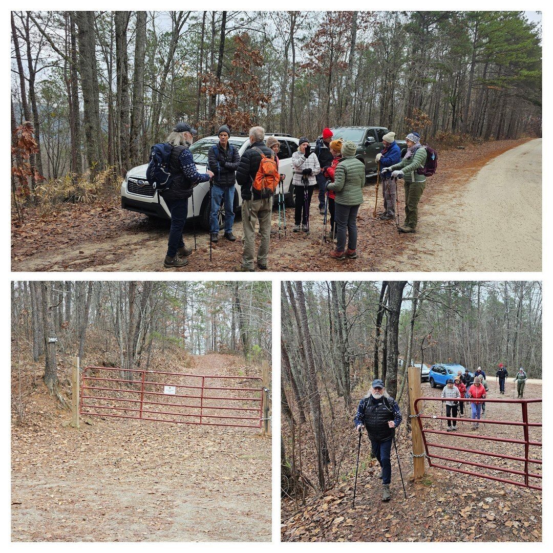 We started from the gate for Riley Moore Shoals Rd (FS-748C), but the actual trailhead is a short distance down this road.