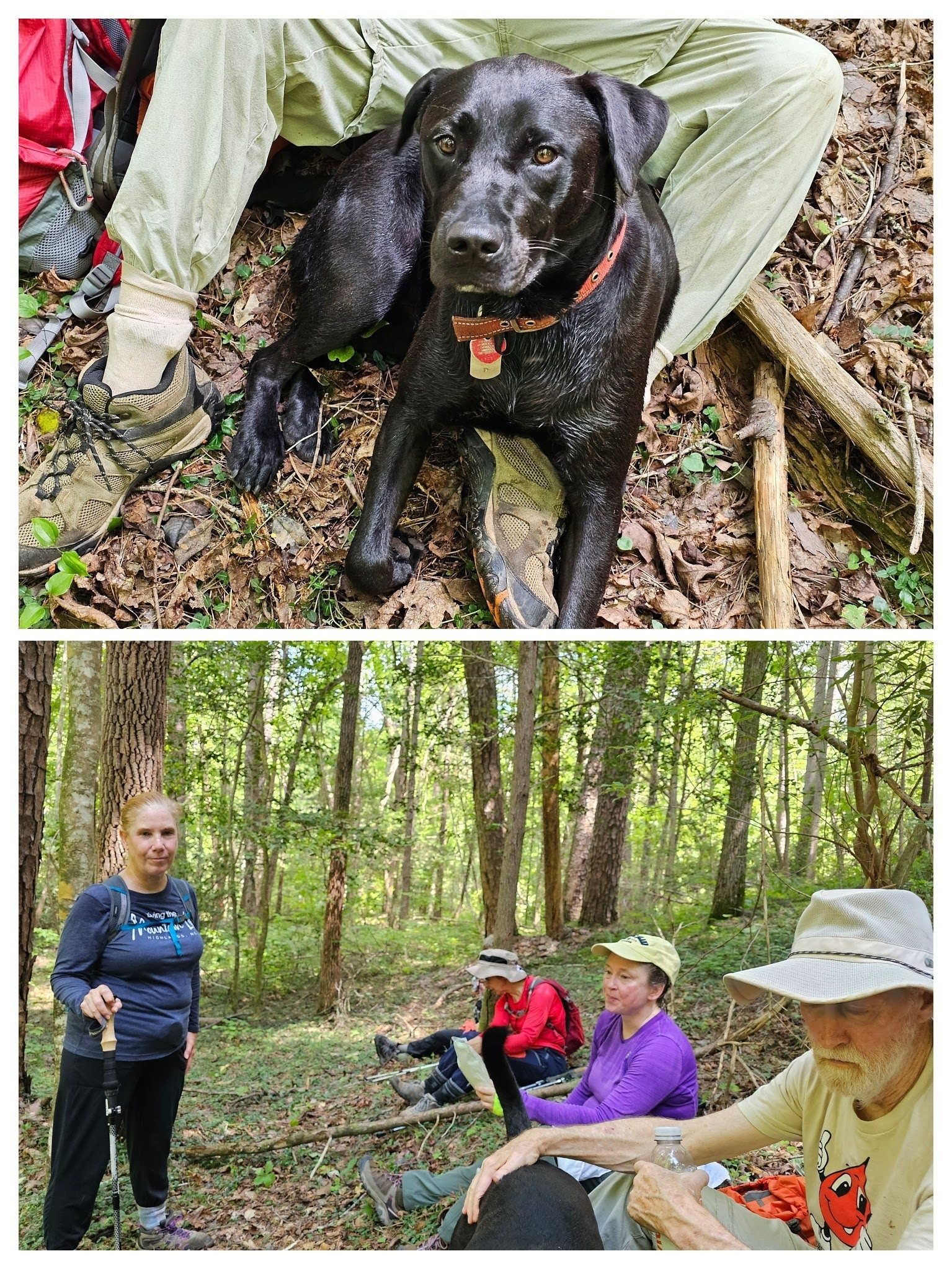 Taking a break after a long 3 hours, much of which was bushwacking.