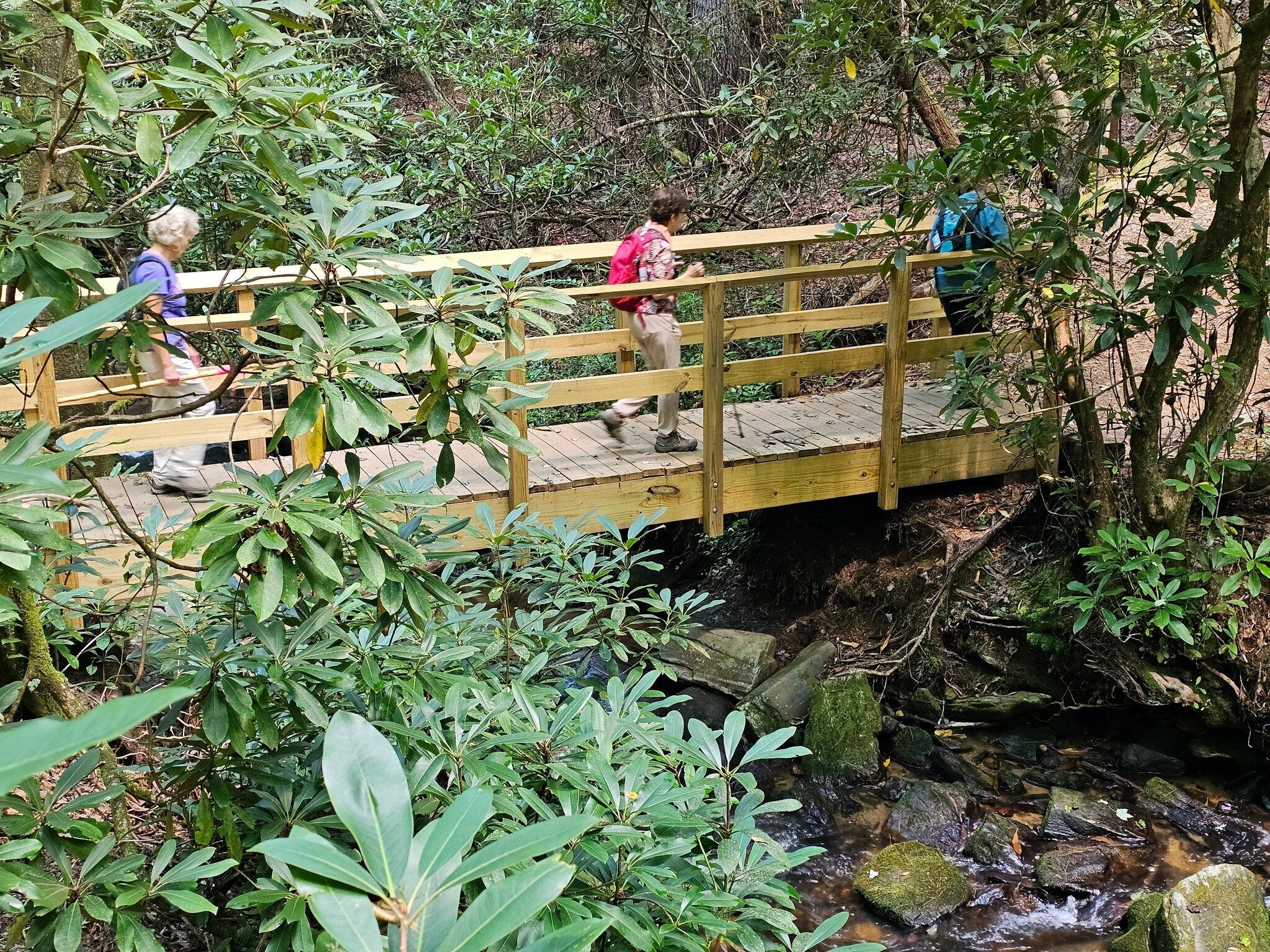 A very nice, new bridge toward the end of the hike.