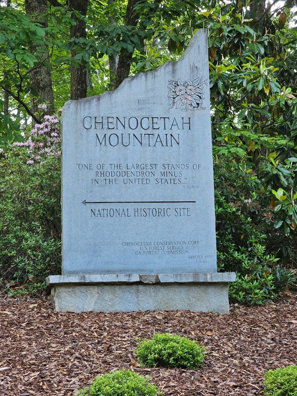Cannot say I've noticed this monument before, but it does confirm our identification of the Rhododendron minus currently in bloom.