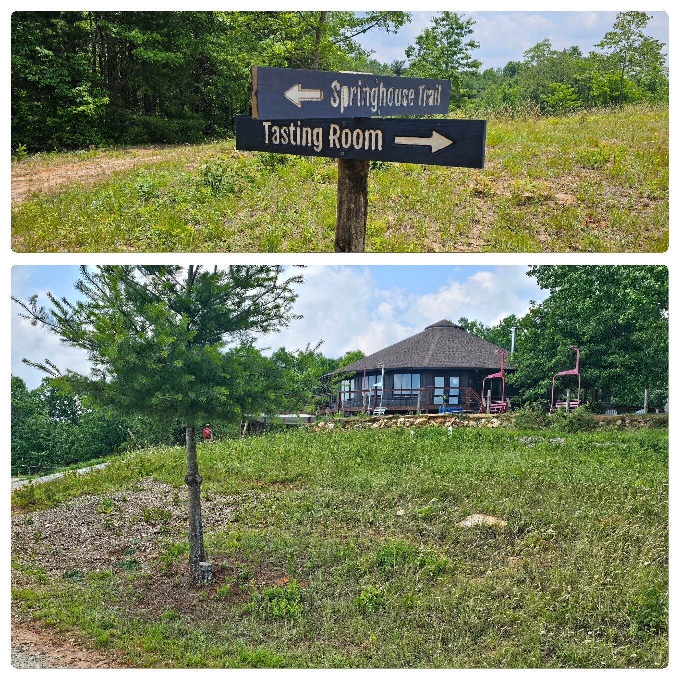 Finishing up and it feels like 8 miles, too.  Thanks to the folks at Terra Incognita Vineyards for their hospitality and great hike.