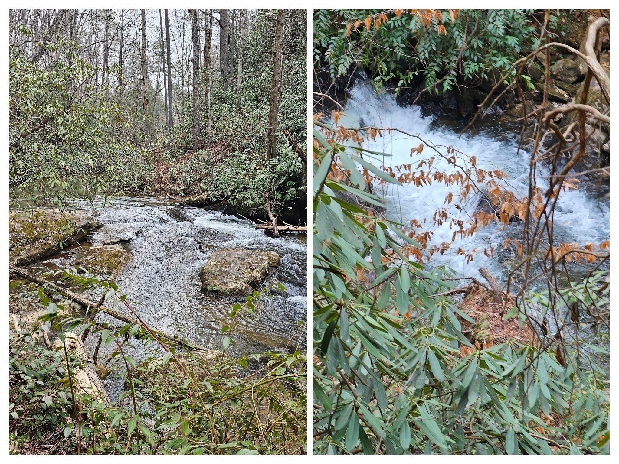 More of Smith Creek