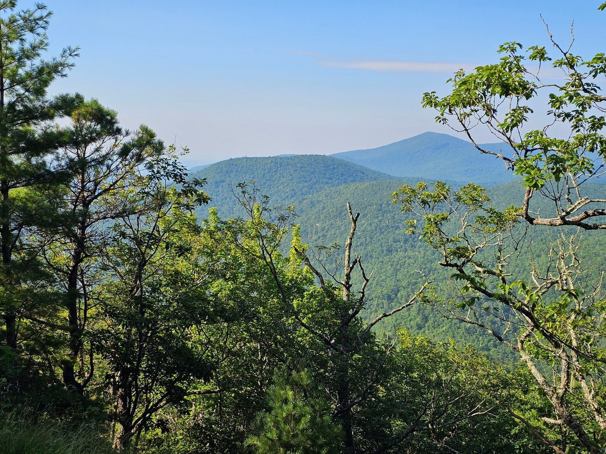 A quick view of the terrain to the south as we head up Scaly Mtn.