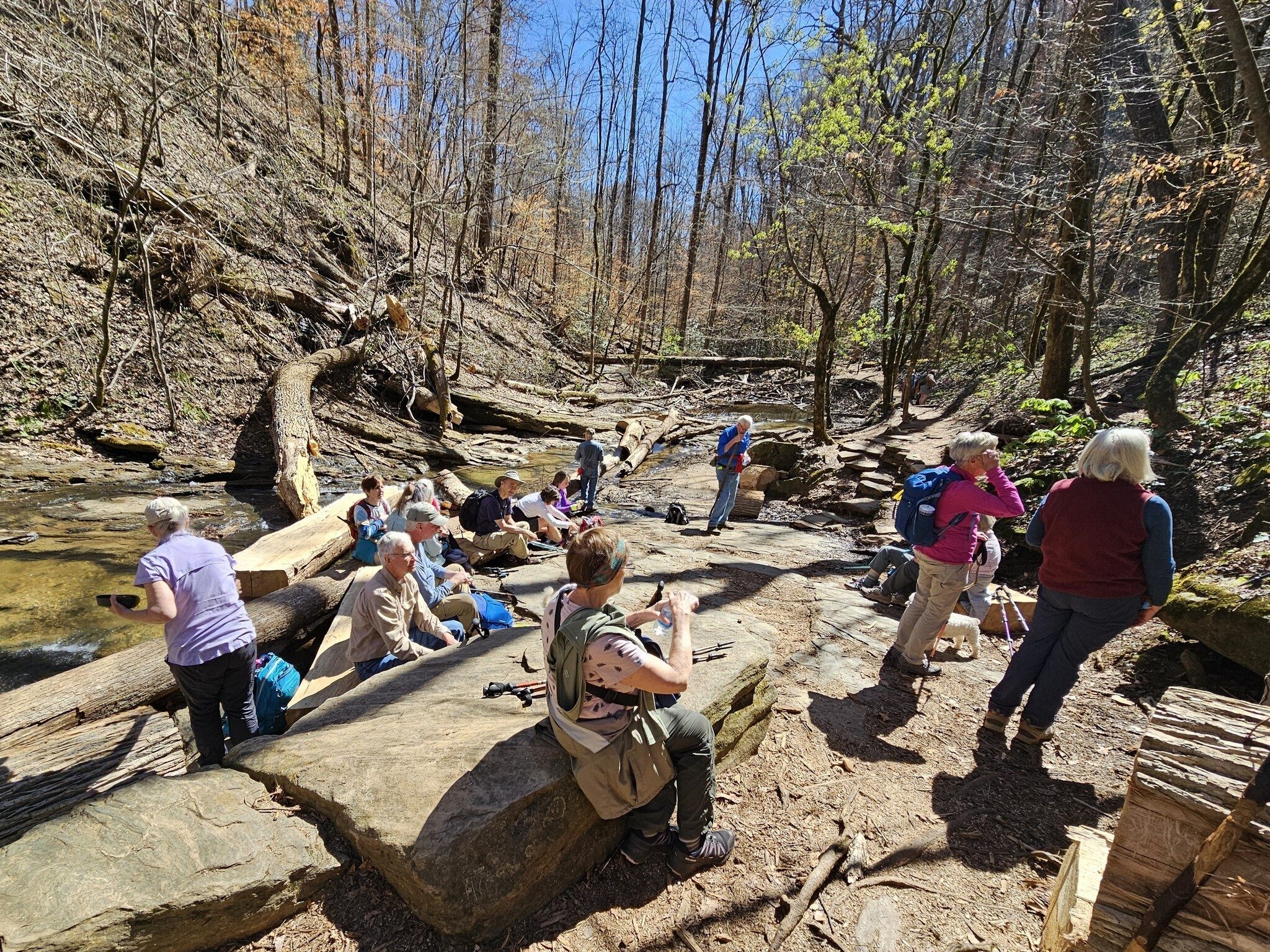 Breaktime at the Station Cove Falls.