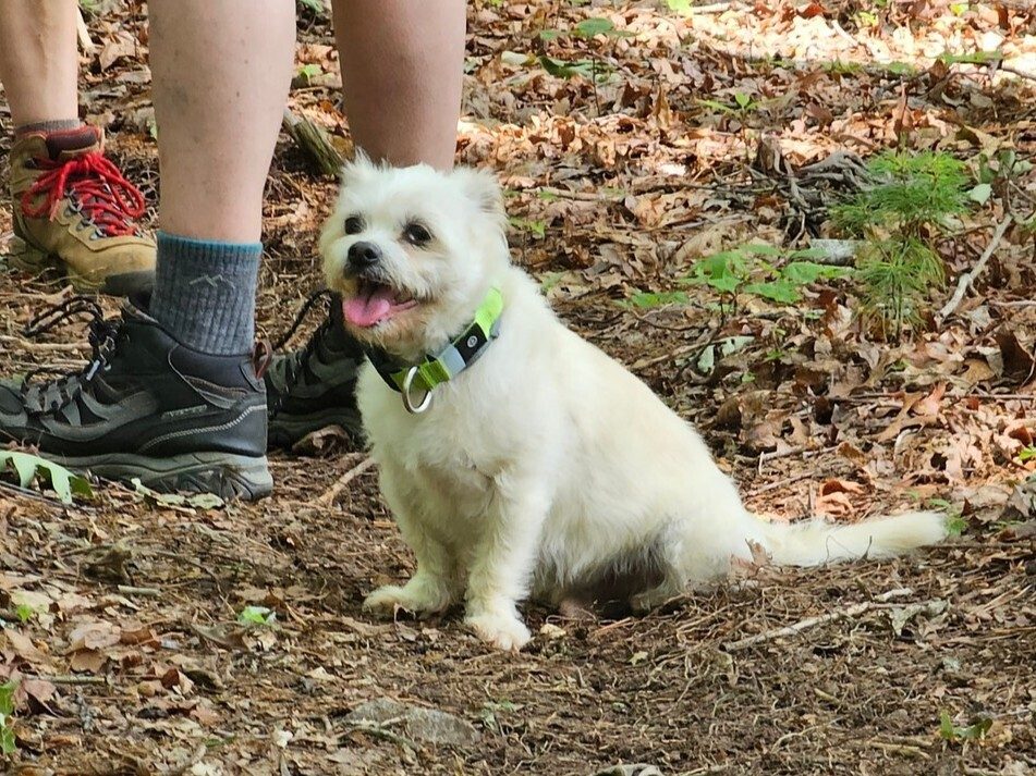 Cutie Pie is anxious to keep moving.
