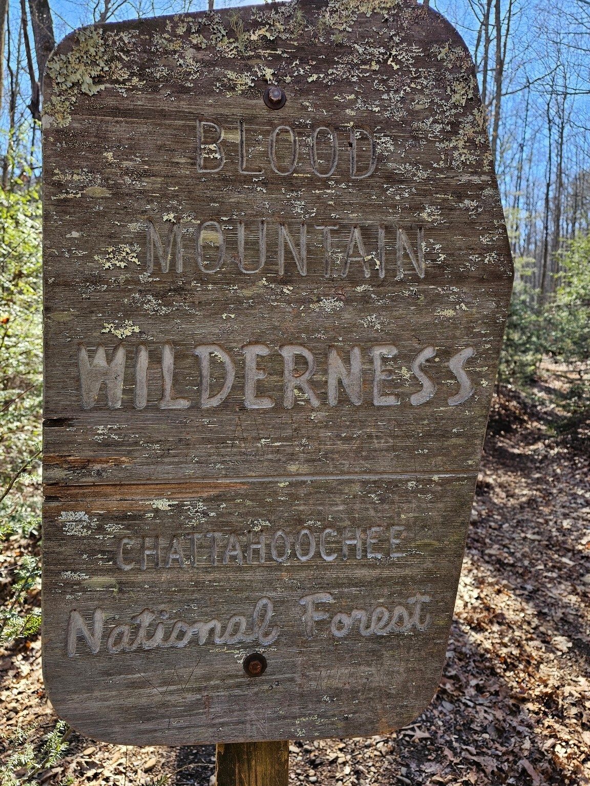 We were actually in and out of the Blood Mountain Wilderness during this hike.
