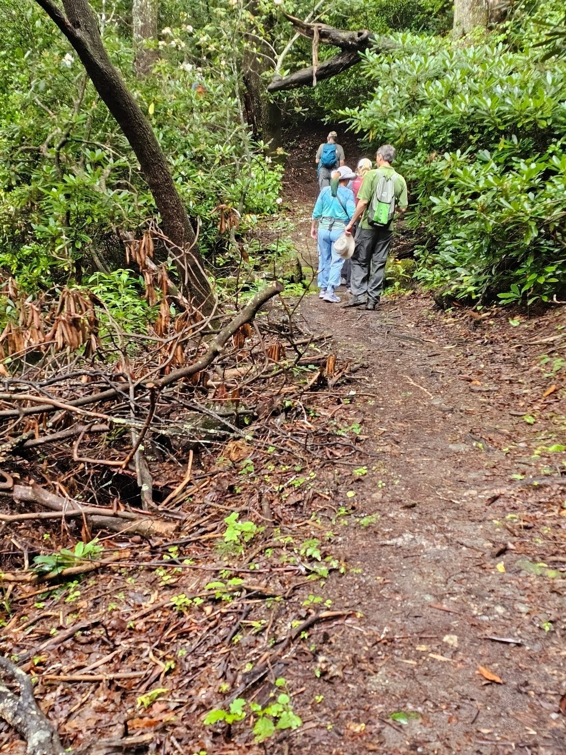 This section of the trail was very easy on the feet with evidence of ongoing maintenance.