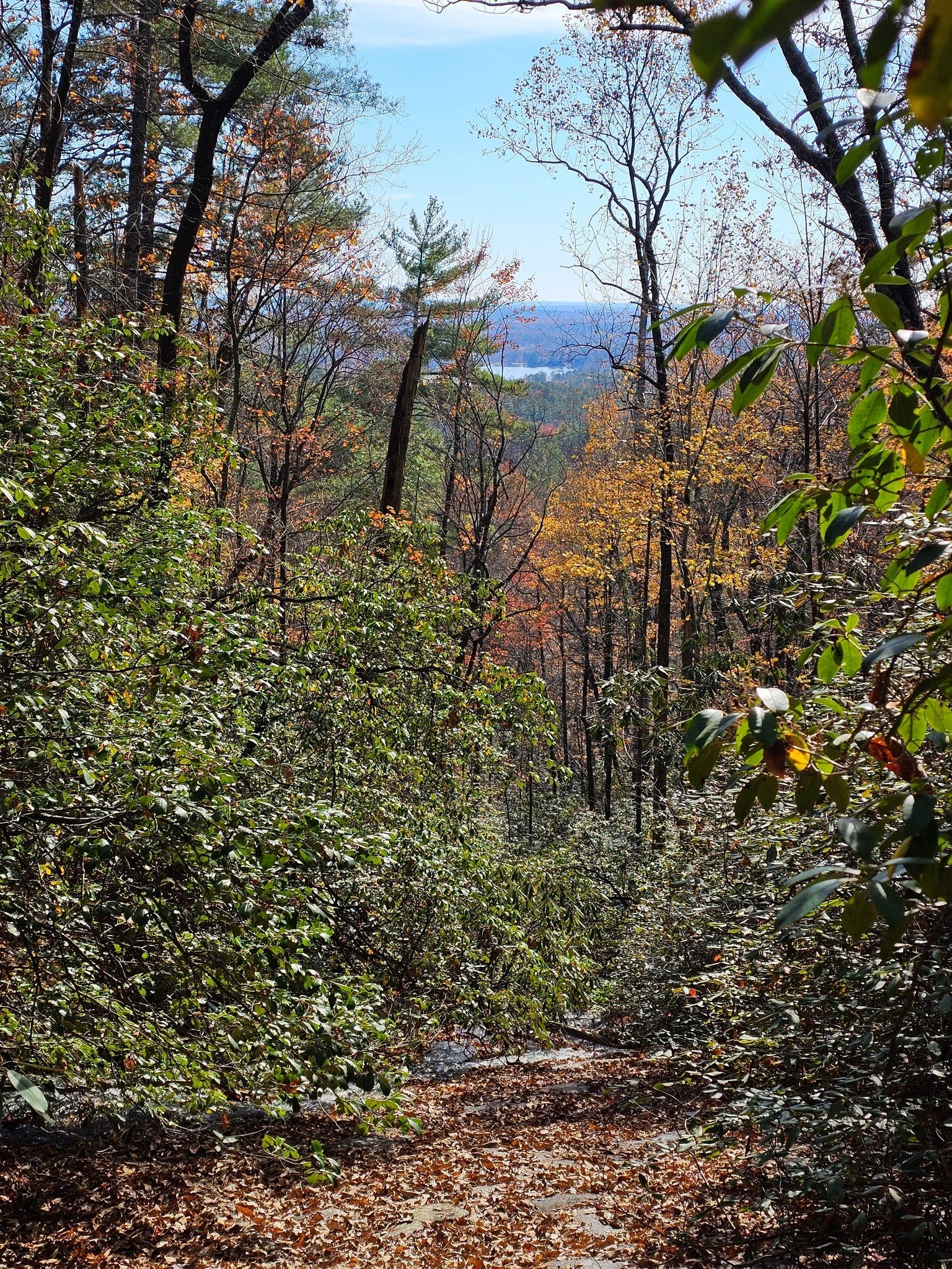 But there was a beautiful view of Lake Cheohee from Little Miuka Falls.