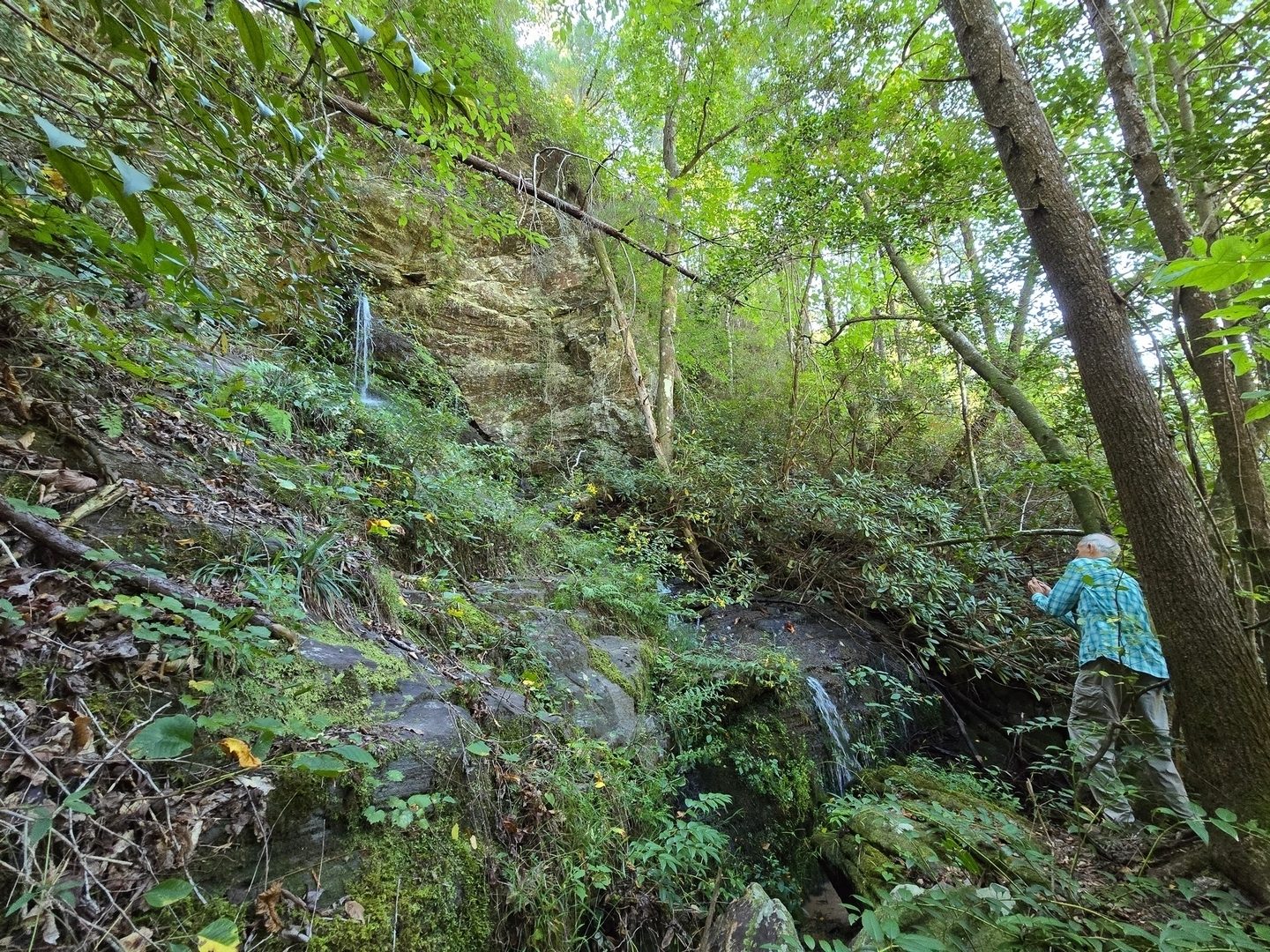 Fed by Pinckney Branch, Homer Falls is impressive in height, but not in water flow today.  Photo by Jane Voss.