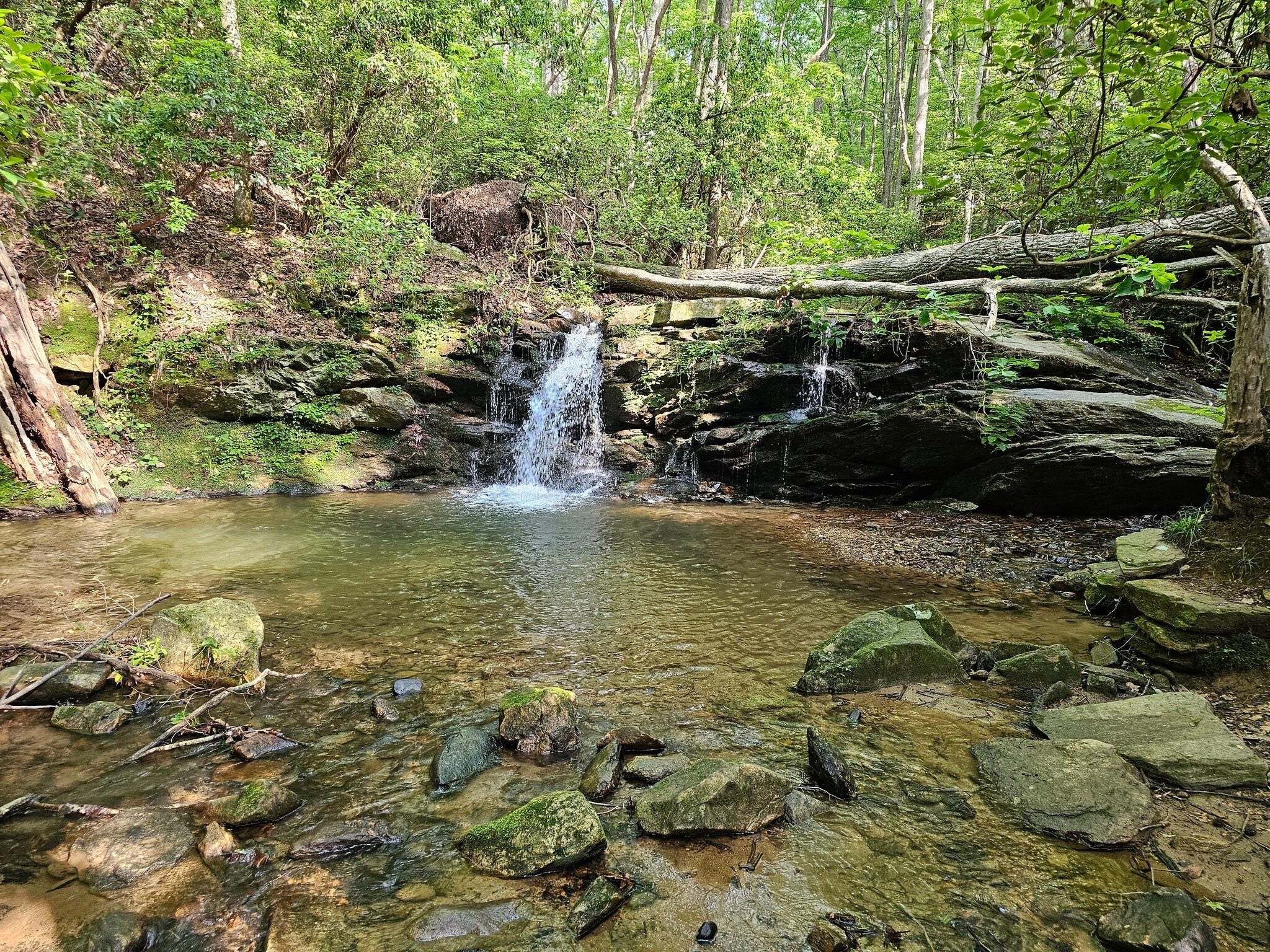 Unfortunately, many of our hikers walked past this easily accessible unnamed cascade just off the trail.