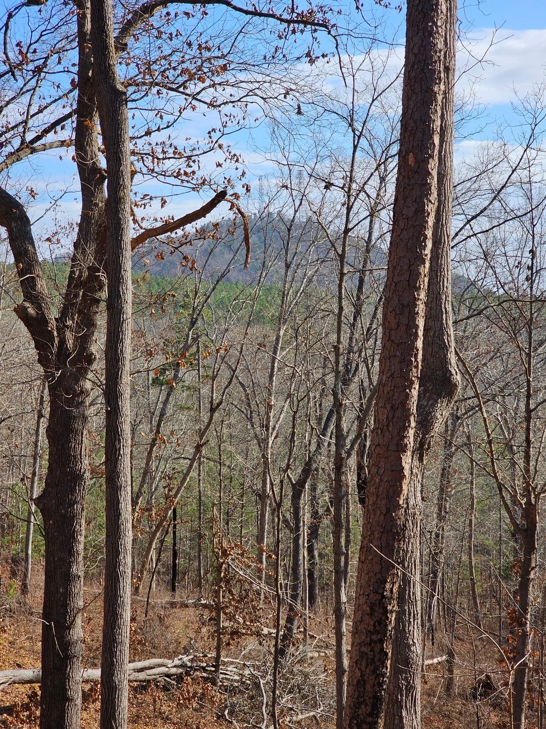 One more last view of Currahee Mtn. as we finish our hike.