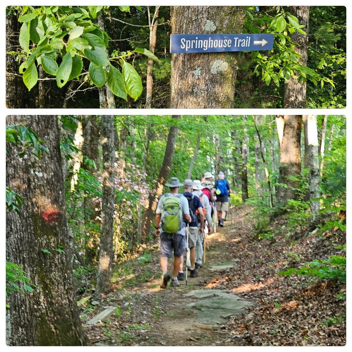 Springhouse Trail - Our first part of the hike today. This section is easy on the feet.
